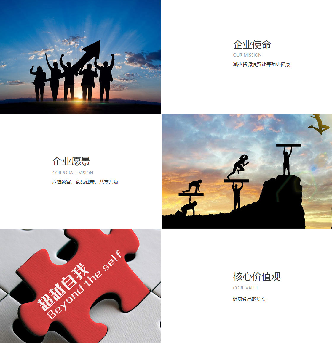 BRT伟德betvlctor体育官网(图1)
